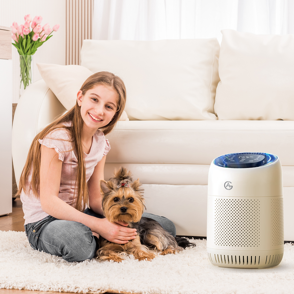 Purificateur d'air AG AG320