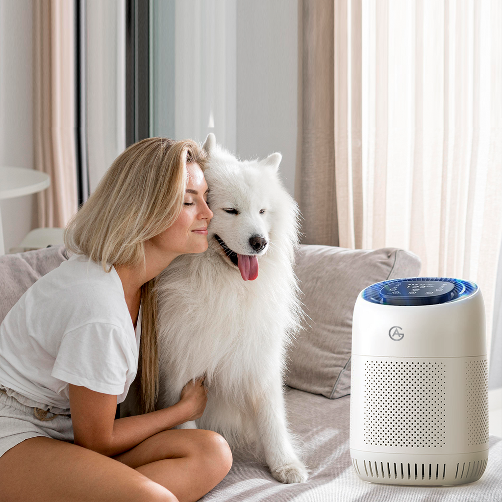 Purificateur d'air AG AG320