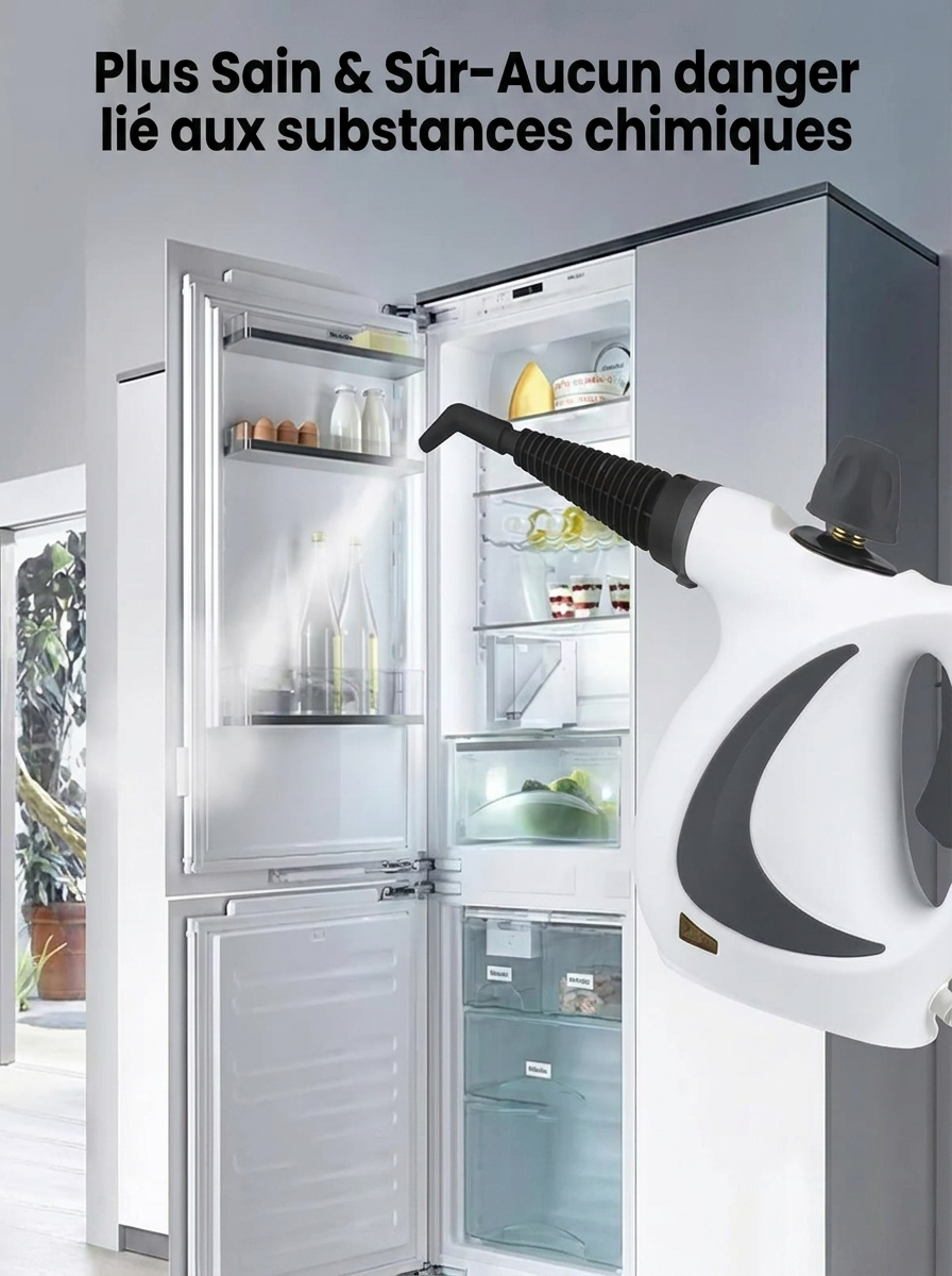 Le nettoyeur a vapeur qui transforme votre interieur